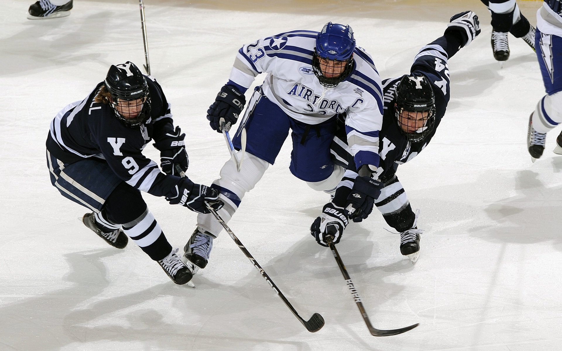 勇士统治赛场CBA季后赛，勇士本赛季